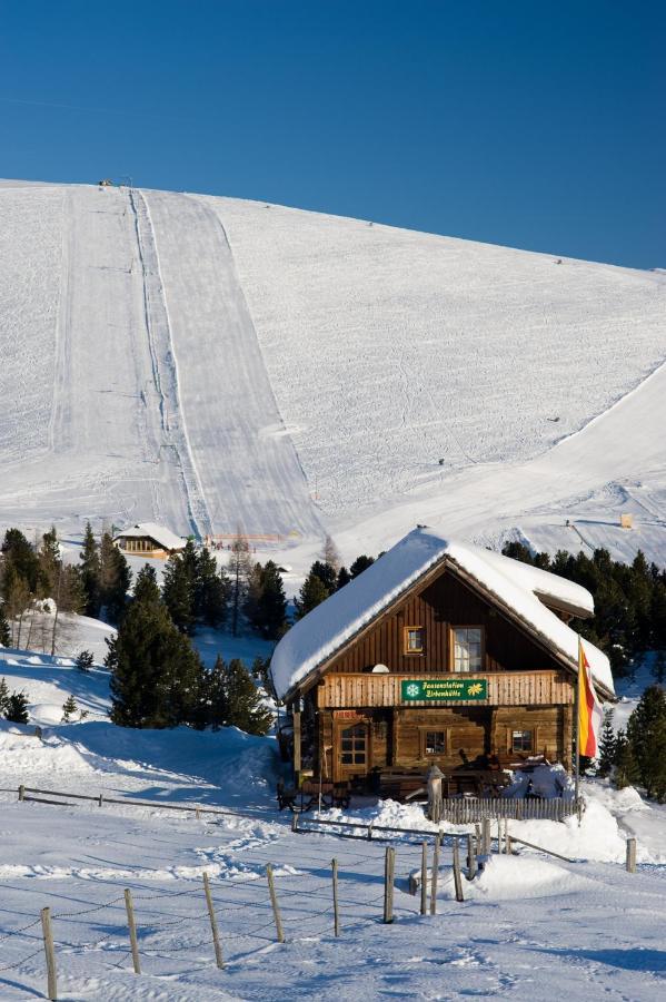 Apartmán Zirbenhutte Am Falkert Auf Der Heidi-Alm Koflach Exteriér fotografie